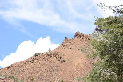 DSC_3171 (Large).JPG